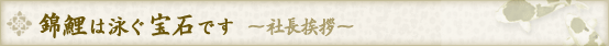 錦鯉は泳ぐ宝石です 社長挨拶