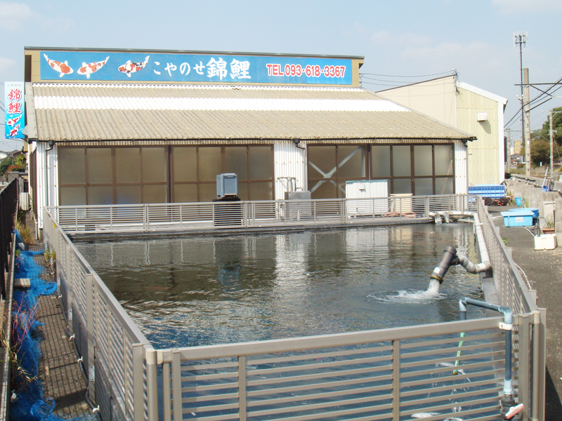 三角池1